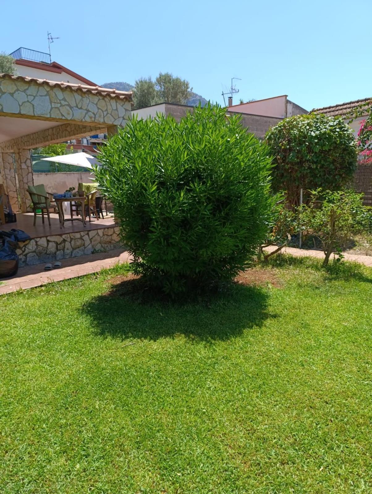Garden House Mondello Palermo 빌라 외부 사진